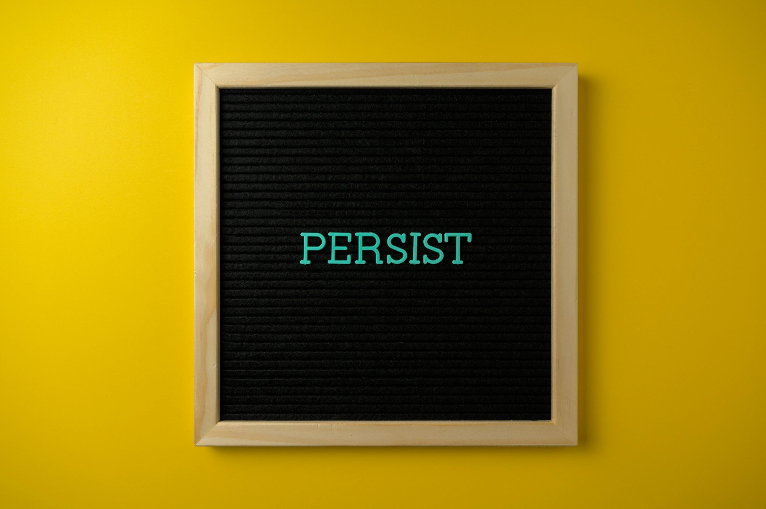 The Power of Persistence 